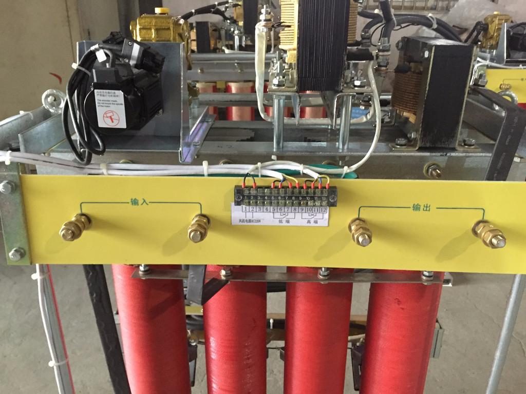 柱式電動(dòng)調(diào)壓器